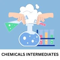 Intermediates Icon
